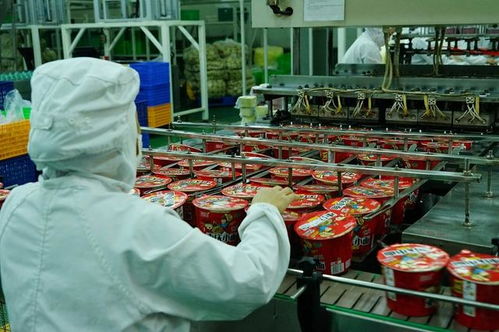 四川白家食品A輪融資1.1億元 疫情之下方便食品行業(yè)迎來新機(jī)遇